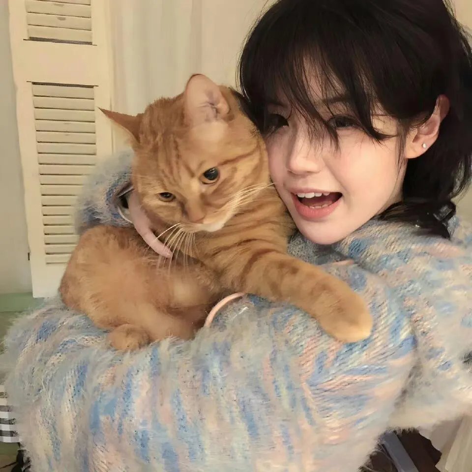 江湖半把刀粤语